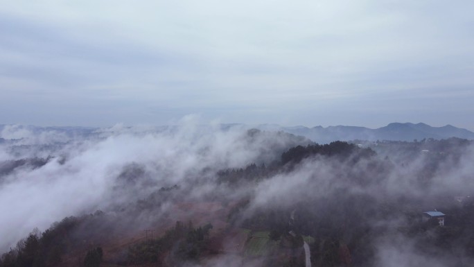 冬季山谷云雾