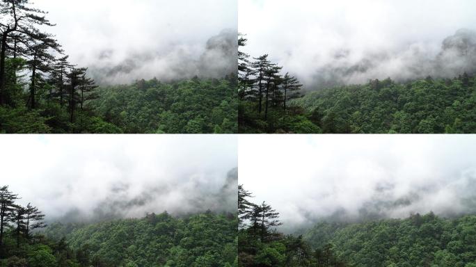 九华山风景区4K航拍云雾天