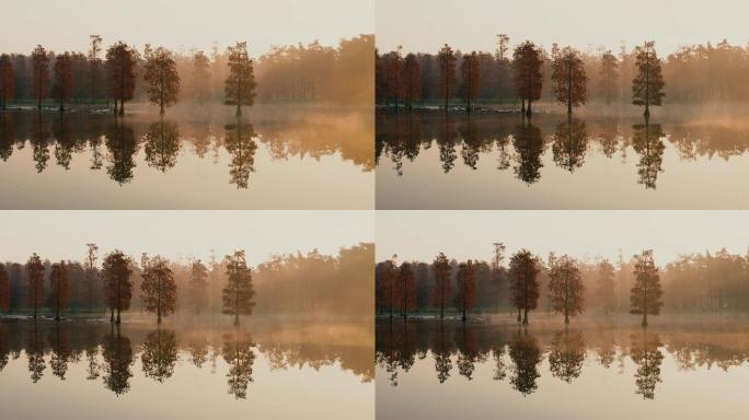 秋天水上森林的水面晨雾