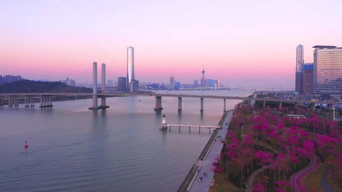 珠海横琴大桥与花海长廊晚霞航拍4K