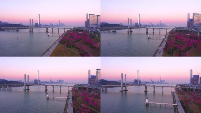 珠海横琴大桥与花海长廊晚霞航拍4K
