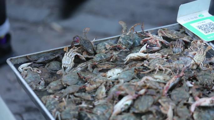 大连海鲜市场的螃蟹大虾海螺热闹买海鲜人群