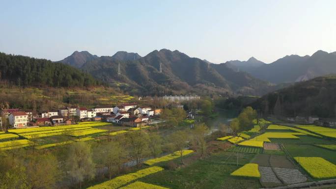 新农村油菜花航拍