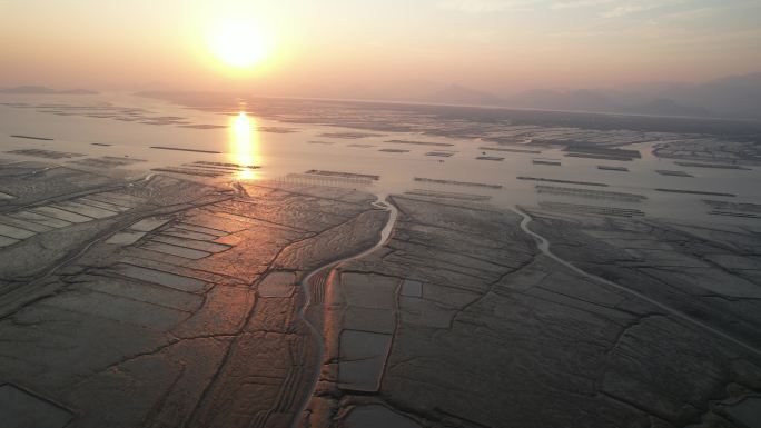 台州温岭坞根八一塘日落DJI_0887