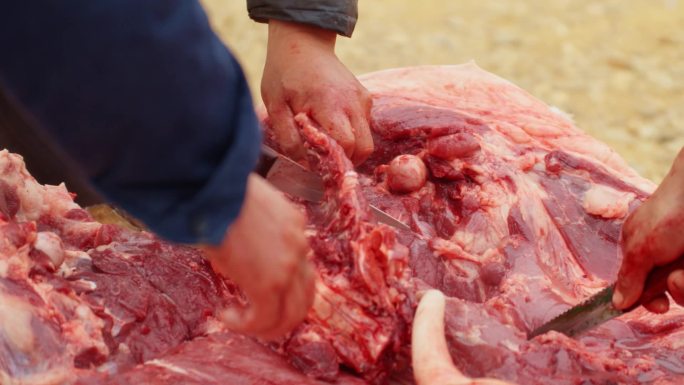 东北 杀猪 过年 猪肉 当地猪