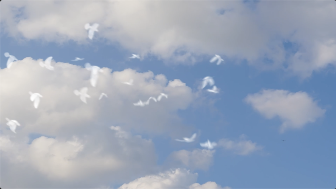 鸽子在蓝天白云下飞翔，