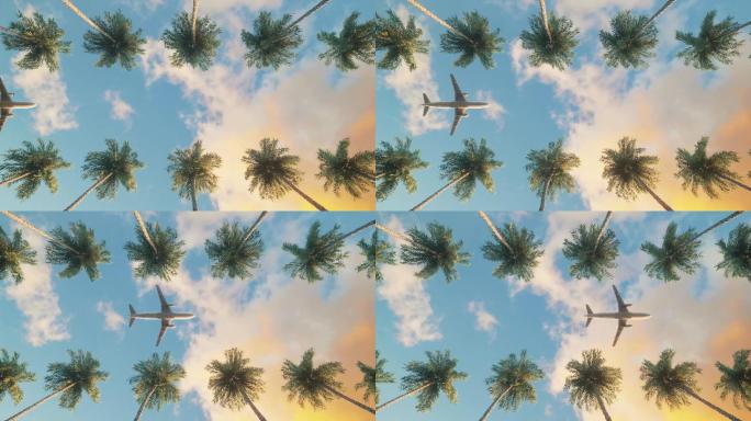 飞越棕榈树的飞机海南岛海南三亚椰树椰岛