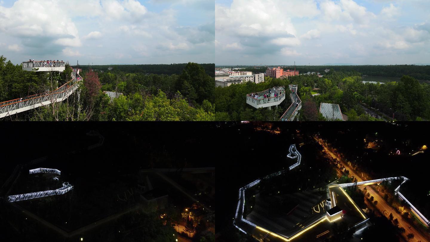 美人松空中玻璃廊桥（白天和黑夜）航拍4K