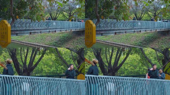 人行天桥视频深圳新洲河上的人行天桥铁桥