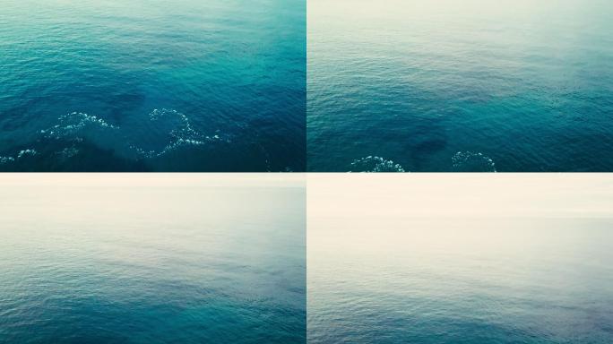 黄昏飞过海面广袤无垠蔚蓝海水海域视频