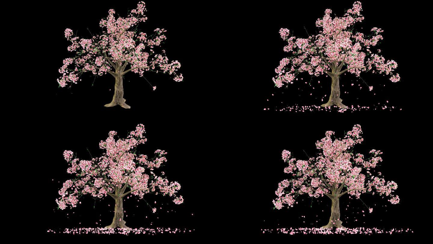 桃花树生长开花摇曳-带透明通道