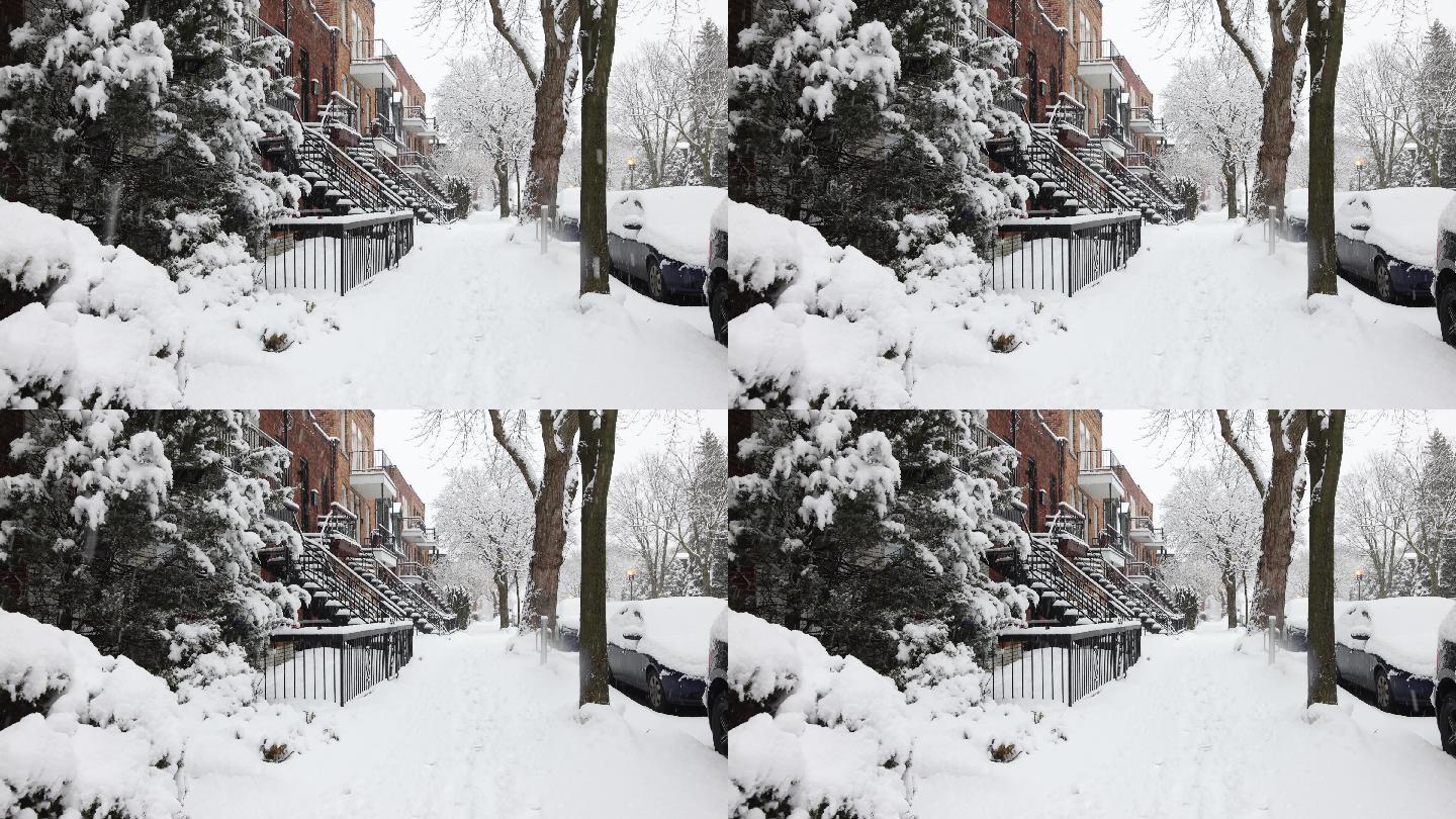 美丽的雪景风雪天雪花飘飘低温积雪路程