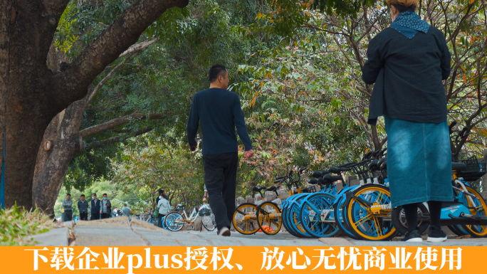 公园里树荫下的市民和路边停放的共享单车