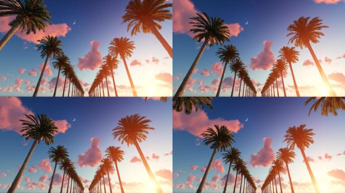 开车穿过棕榈树3D动画场景背景夕阳黄昏