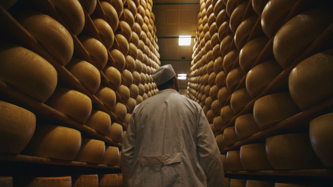 奶酪工厂工程师益生菌发酵乳制品