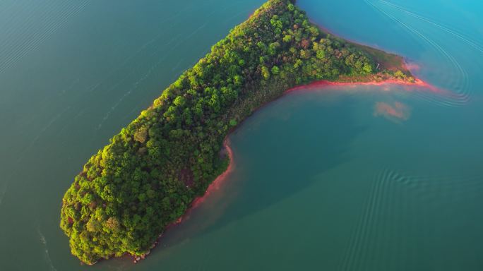 鄱阳湖