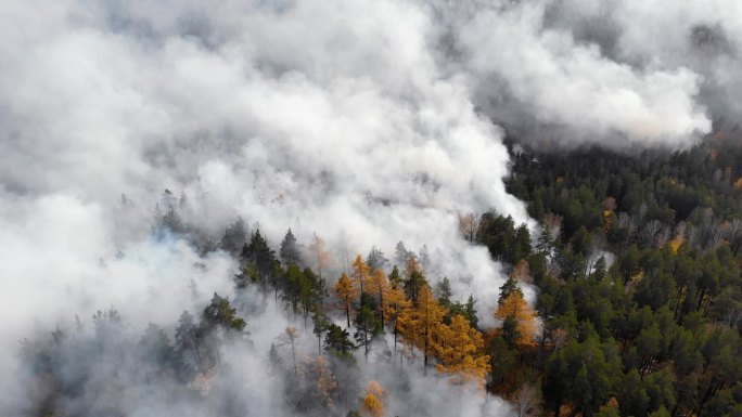 森林火灾航拍俯拍生态破坏消防安全