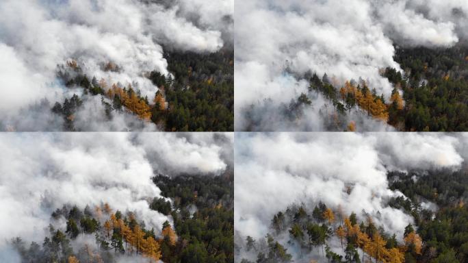 森林火灾航拍俯拍生态破坏消防安全