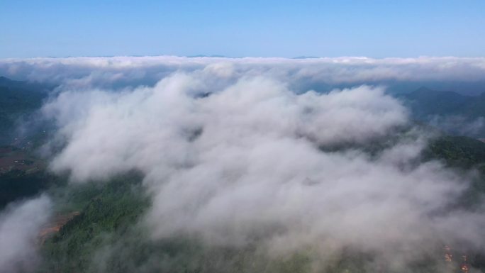 大山中的云雾