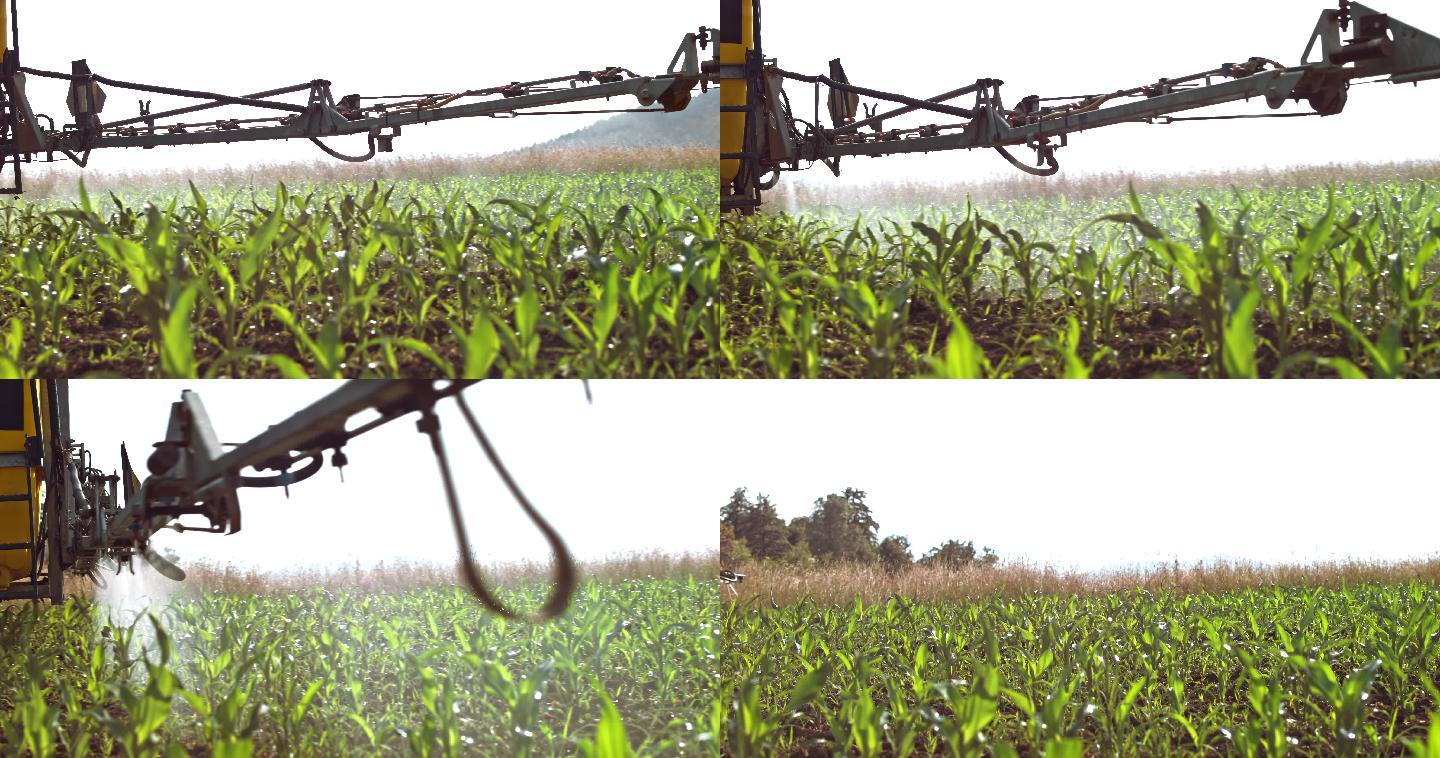 吊杆式喷雾机在田地里喷洒玉米幼苗