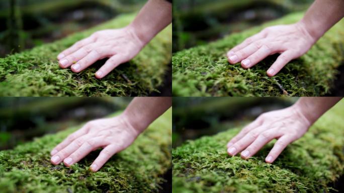 女人手触摸大自然