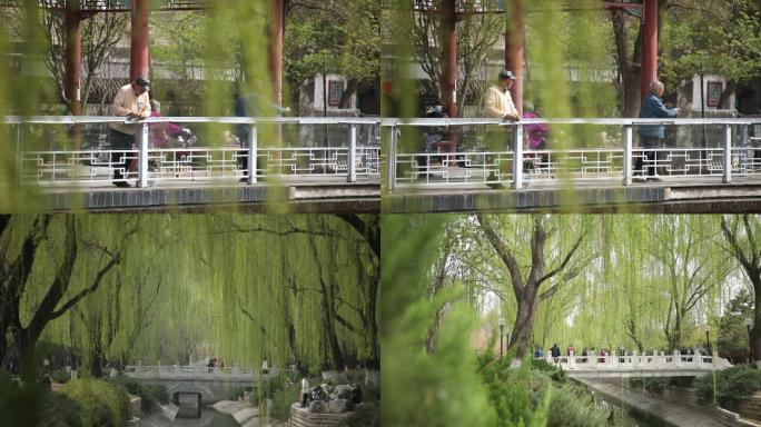 北京人文公园打太极