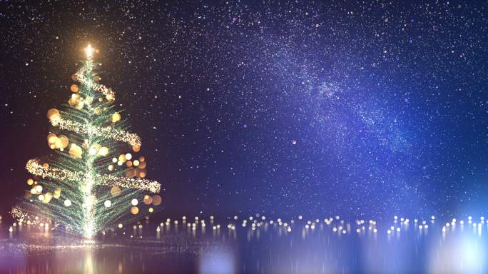 圣诞树和银河圣诞节杉树舞台背景