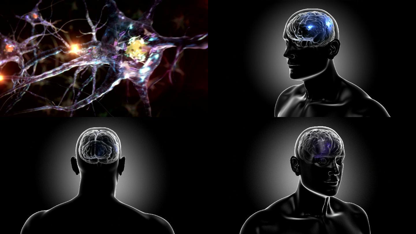 一个人大脑的3D动画