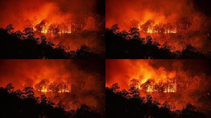 森林火灾森林灾害森林保护灭火救援行动