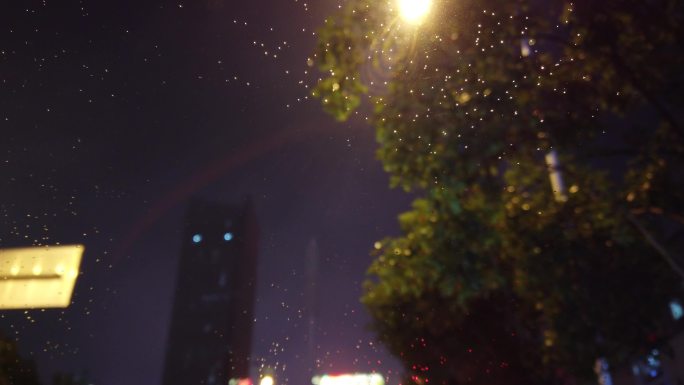 雨天夜晚汽车挡风玻璃毛毛雨