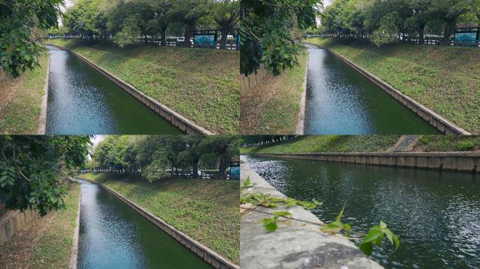 深圳福田区新洲河整洁河道洁净河水两岸绿植