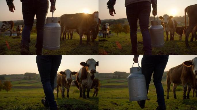 农场主扛着一桶牛奶穿过牧场