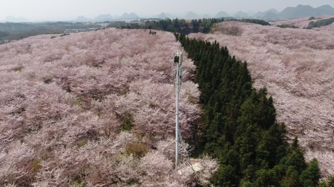 网络发送基站航拍