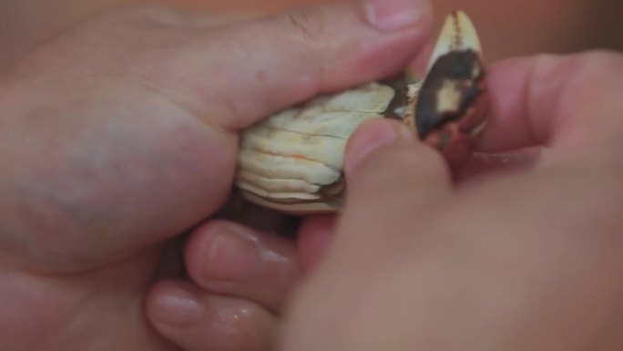南京美食龙袍蟹黄汤包螃蟹制作
