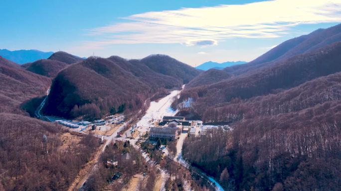 航拍神龙架中和滑雪场 红杉与白雪