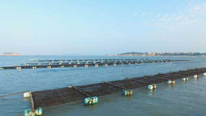 【有版权】4K海上紫菜海带海鲜养殖场