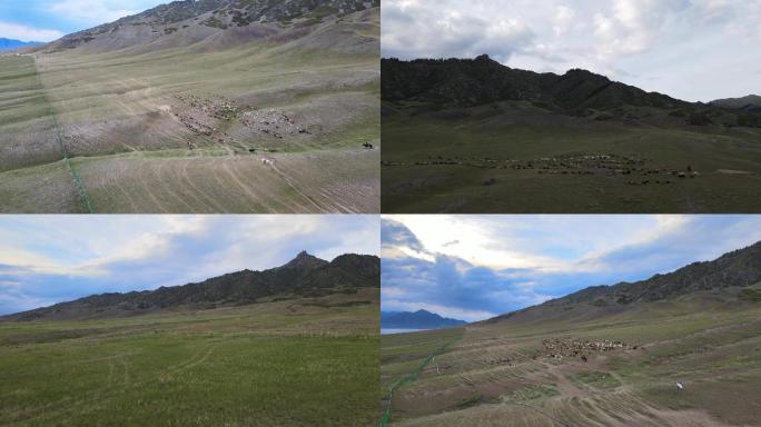 【合集】航拍中国新疆赛里木湖公路风光
