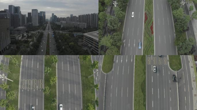 道路交通绿化成都