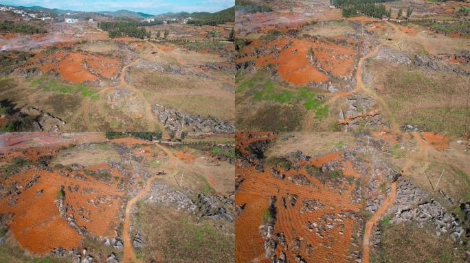 云南红土地喀斯特地貌小路山羊群由远而近