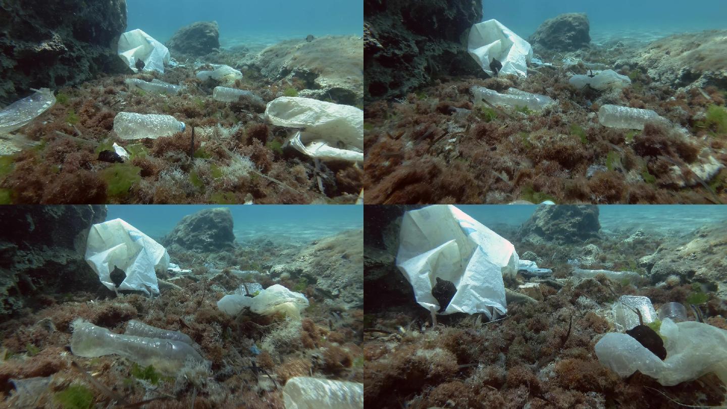 海底的塑料污染。野生动物生态系统垃圾袋