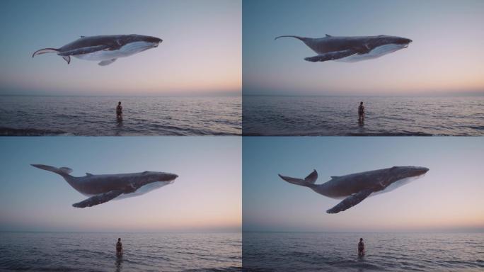 女孩看着座头鲸在海面上飞翔动画