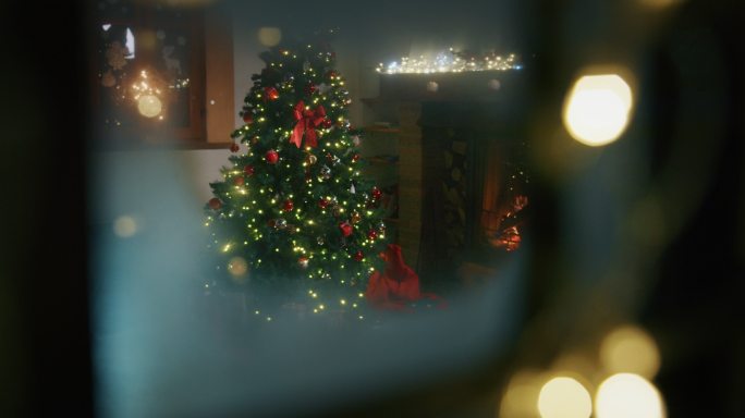 灯光和装饰的圣诞树。