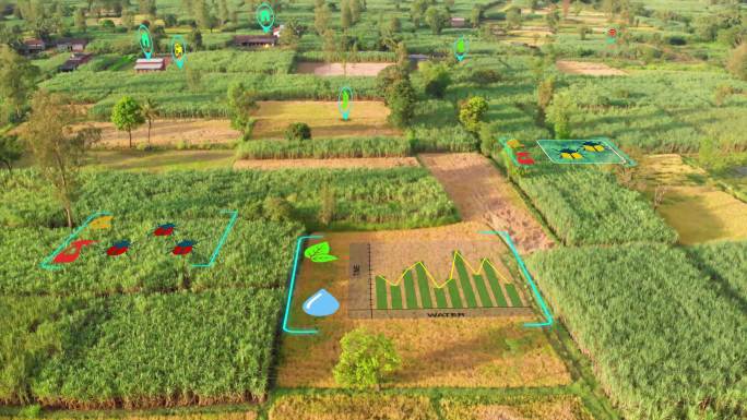 数字农业与虚拟现实技术