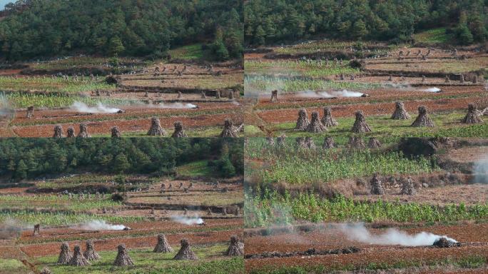 山区农村在耕地上焚烧秸秆