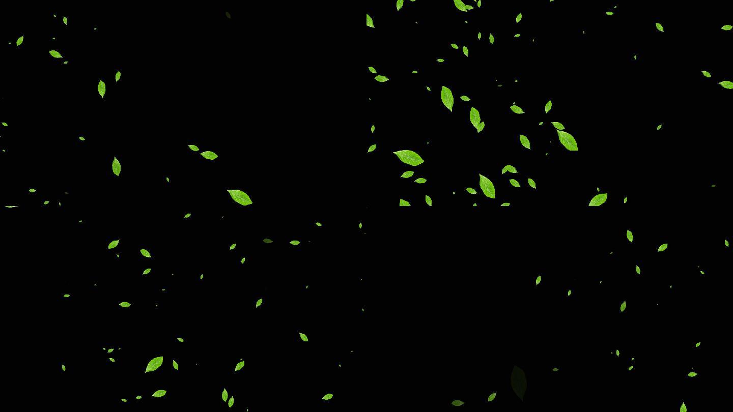 绿色茶叶粒子飘过屏幕