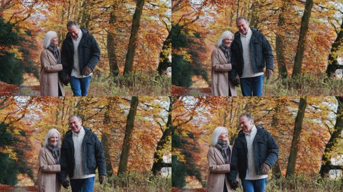 退休老夫妇手牵着手走在秋天的乡间小路上