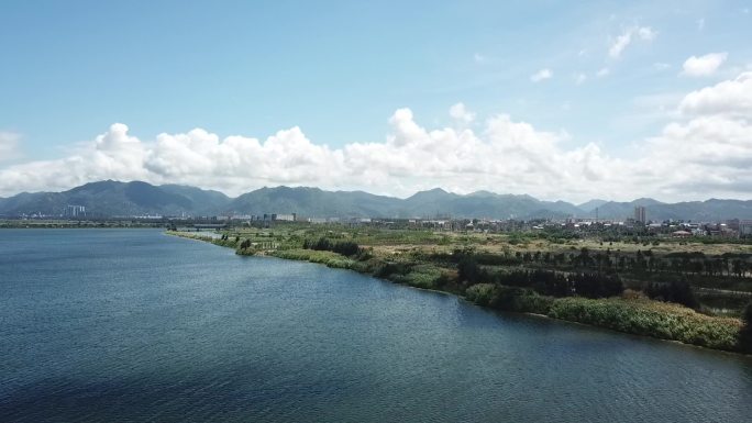 湖水风光湿地公园