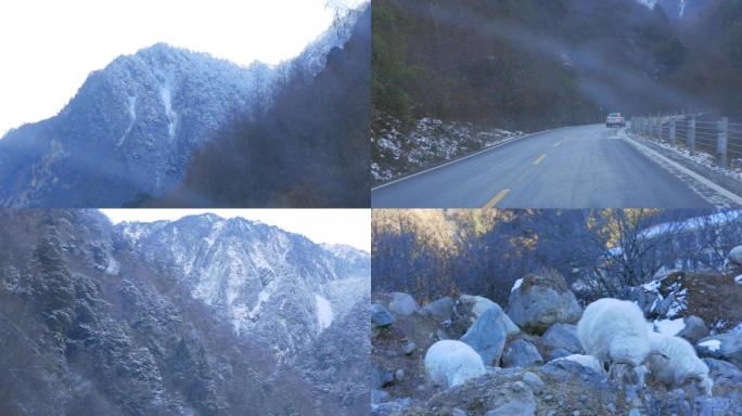 山路沿途风景、川西、川藏线