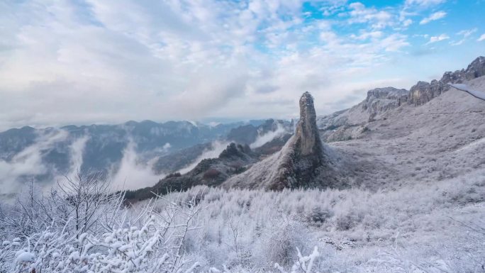 冬日雪后的恩施大峡谷朝天笋