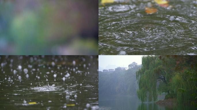 雨天湖面上的雨滴水滴涟漪-雨景合集